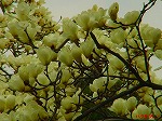 20070309 07.jpg